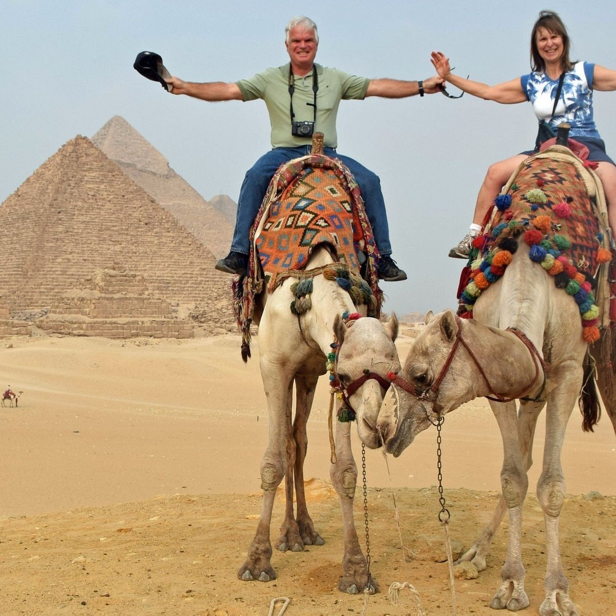 Piramidi di Giza con passeggiata a cammello e Museo Egizio al Cairo