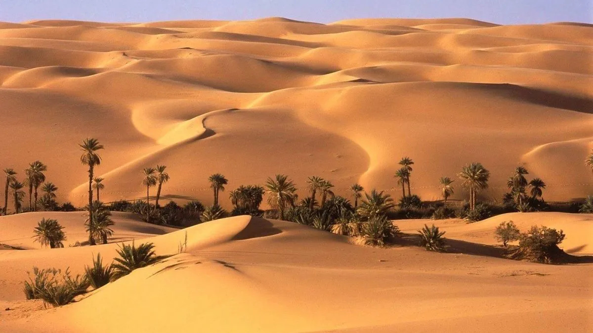 Pacchetto di 6 giorni: Oasi di El Fayoum, Deserto Bianco e Oasi di