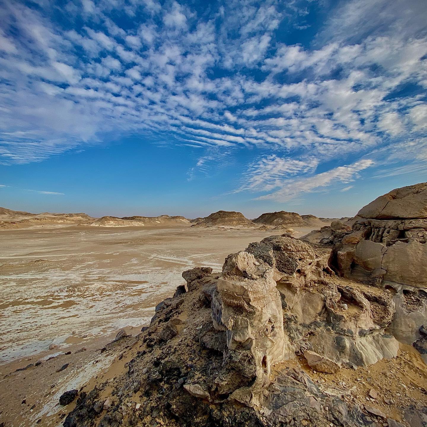 Pacchetto 4 giorni: Oasi di El Fayoum, Deserto Bianco e Oasi di Bahariya