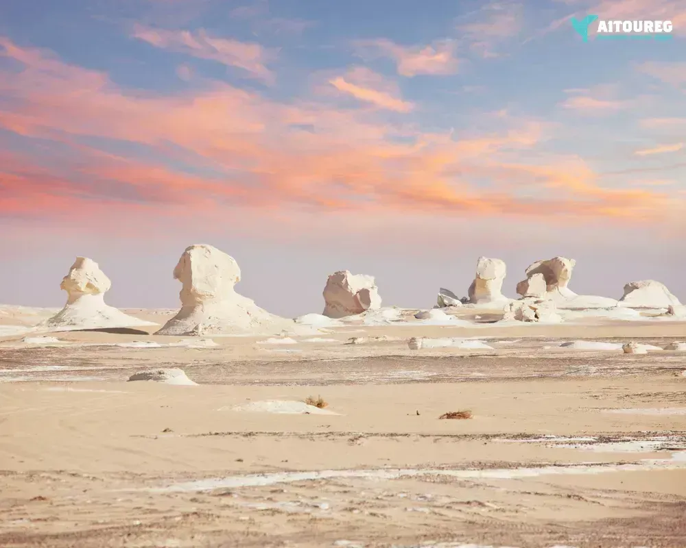 Avventura in campeggio nel Deserto Bianco e nell'Oasi di Bahariya (2 giorni)