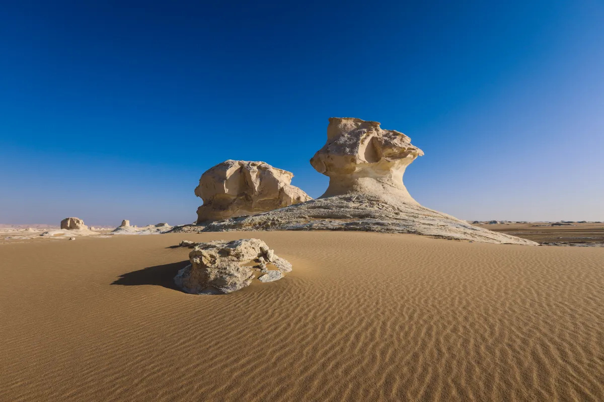 Safari di un giorno nel Deserto Bianco e nell'Oasi di Bahariya